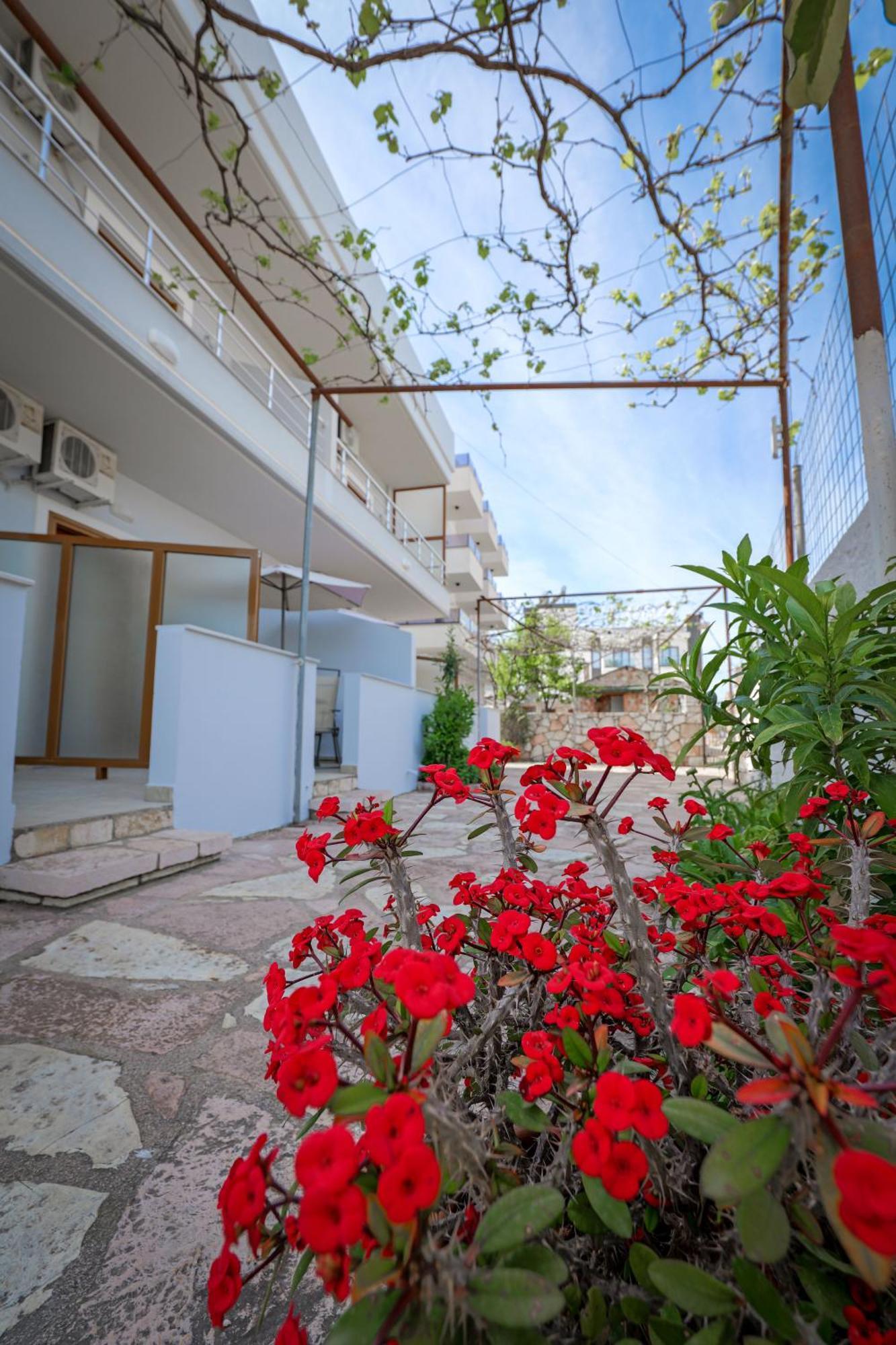 קסאמיל Guesthouse Moonlight Downtown מראה חיצוני תמונה